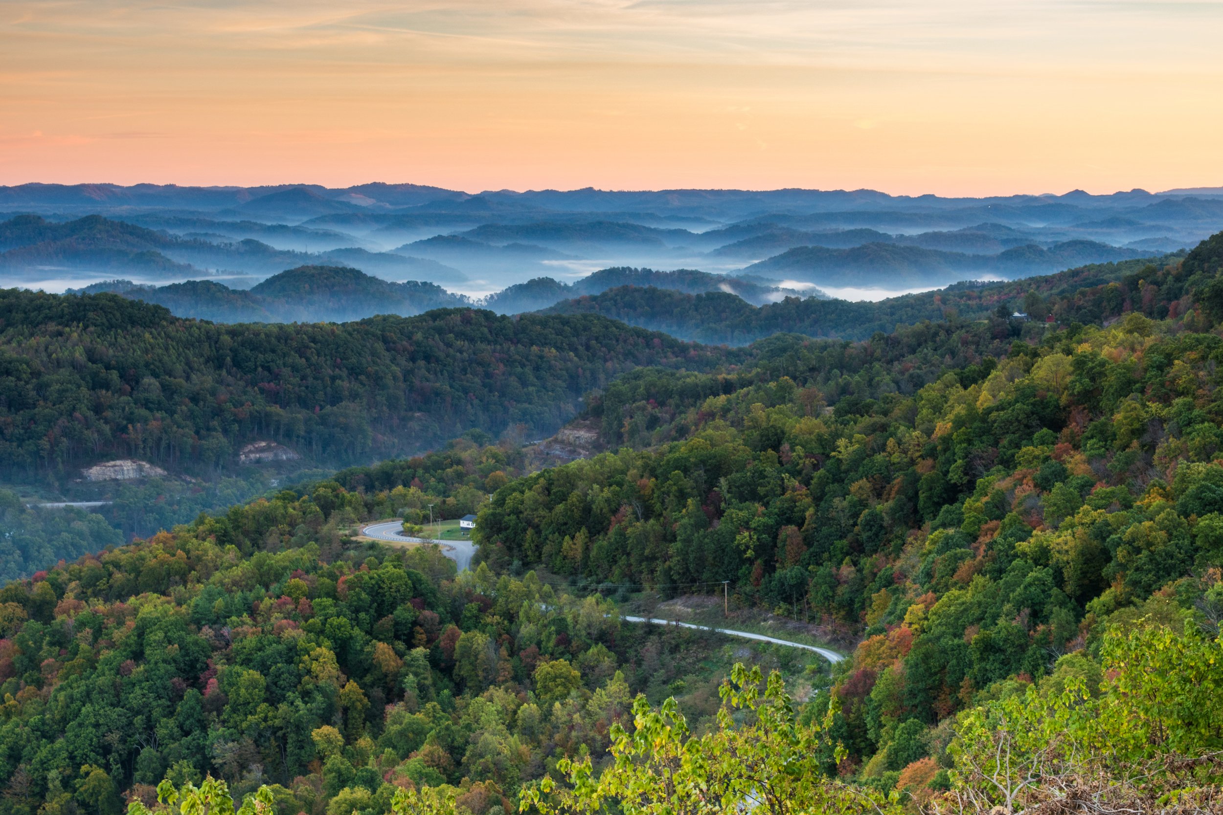WV.jpg
